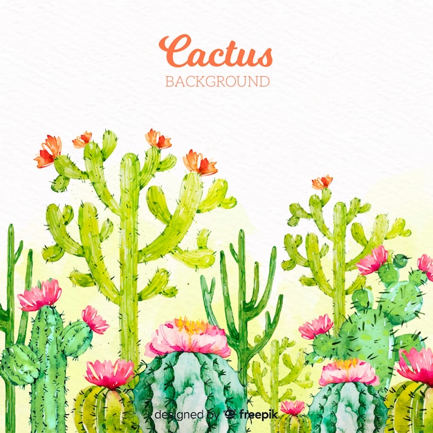 Fondo de cactus en acuarela