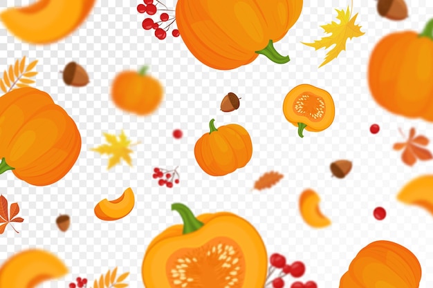 Fondo de calabazas naranjas de otoño con efecto de desenfoque desenfocado para el festival de la cosecha o el día de acción de gracias calabazas de diferentes tamaños sobre fondo transparente diseño plano vectorial