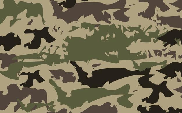 Fondo de camuflaje ilustración vectorial
