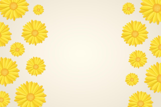 Vector fondo de capullos de flores de caléndula