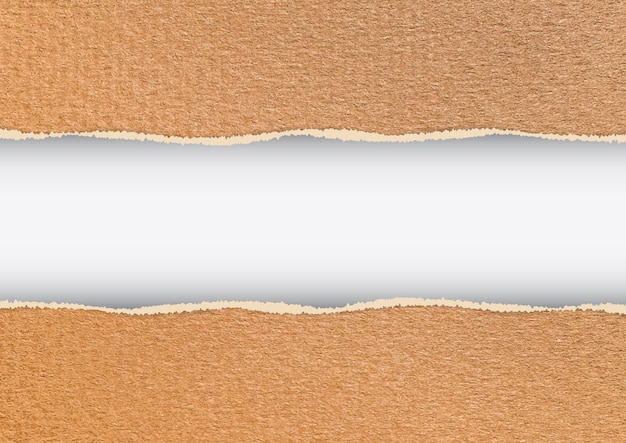 Vector fondo de cartón con bordes rasgados y raya blanca vacía.