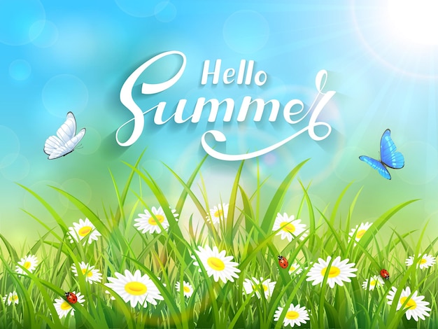 Fondo de cielo azul soleado con letras Hello Summer Butterflies volando sobre la ilustración de hierba y flores
