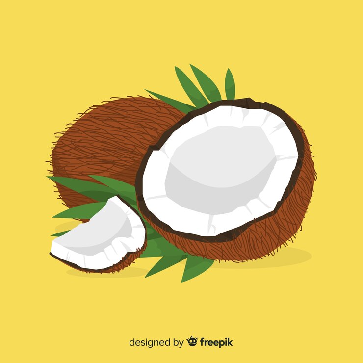 Vector fondo cocos dibujados a mano