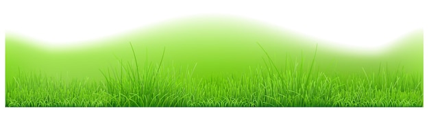 Fondo con colinas y hierba verde ilustración vectorial