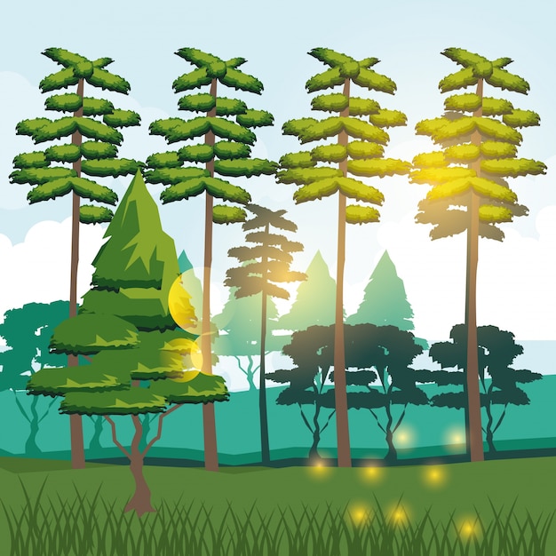 Vector fondo colorido del paisaje del bosque y la montaña