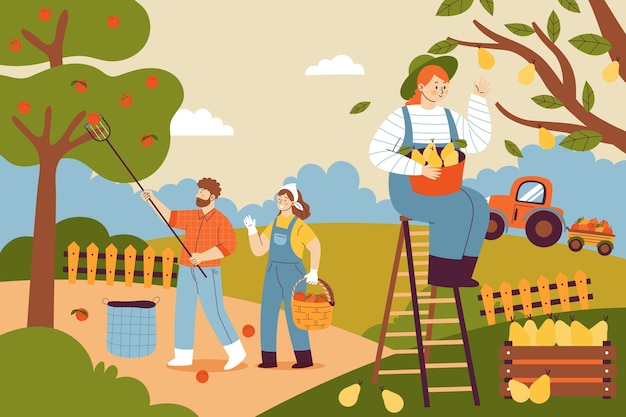 Vector fondo de composición de cosecha de frutas plana dibujada a mano con personas recogiendo frutas de los árboles