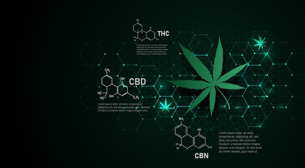 Fondo de concepto médico de estructura molecular de cannabis