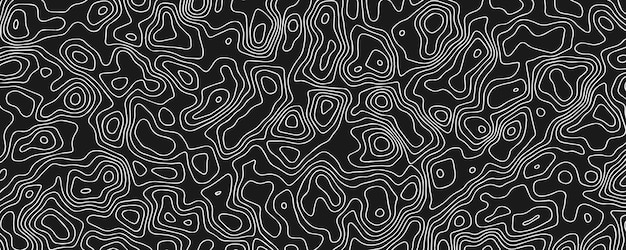 Fondo de contorno topográfico en blanco y negro Estandarte de contorno Topográfico