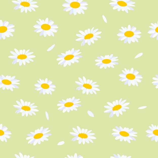 Fondo sin costuras con manzanillas Flores de manzanilla sobre un fondo claro