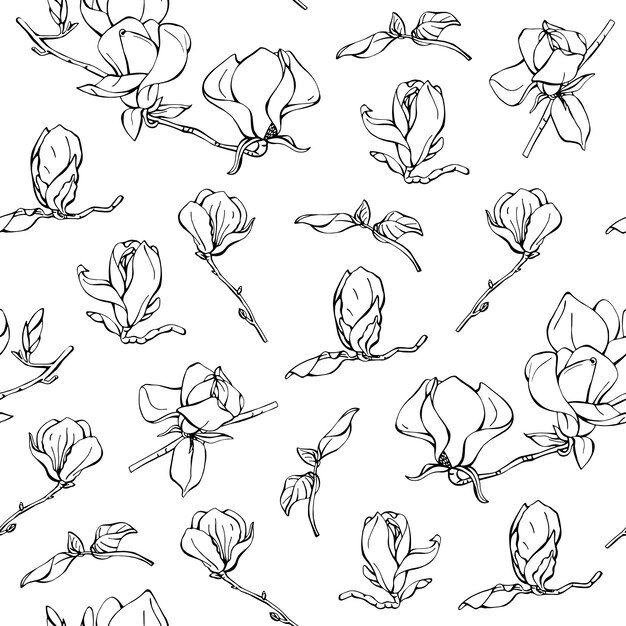 Fondo sin costuras con patrones de diferentes flores de magnolia dibujos a mano de las flores de Magnolia
