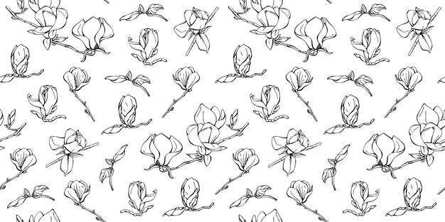 Fondo sin costuras con patrones de diferentes flores de magnolia