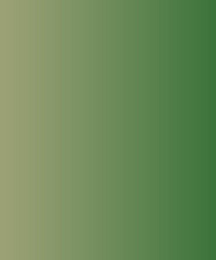 Vector un fondo degradado verde