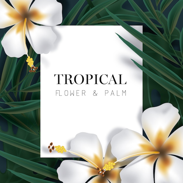 Fondo con diseño tropical