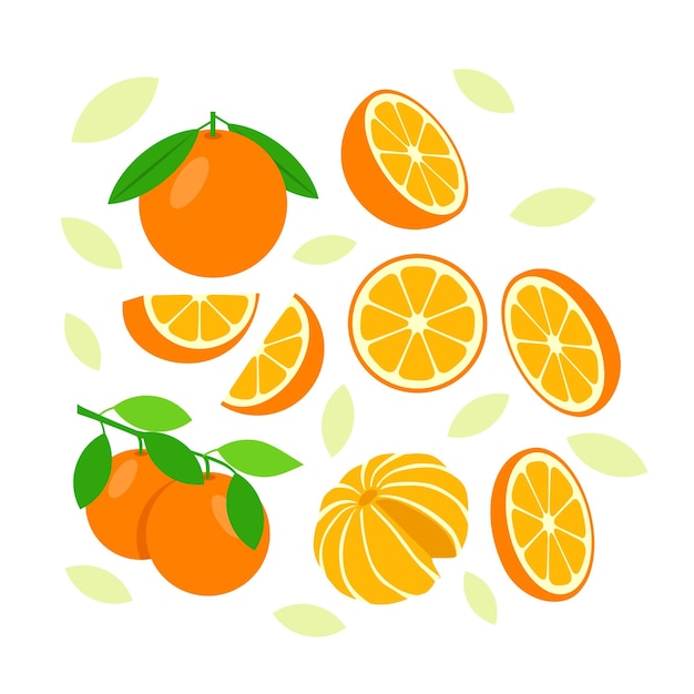 Fondo de diseño de vector abstracto de elementos de fruta naranja para diseño de embalaje