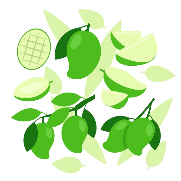 Fondo de diseño de vector abstracto de elementos de mango verde