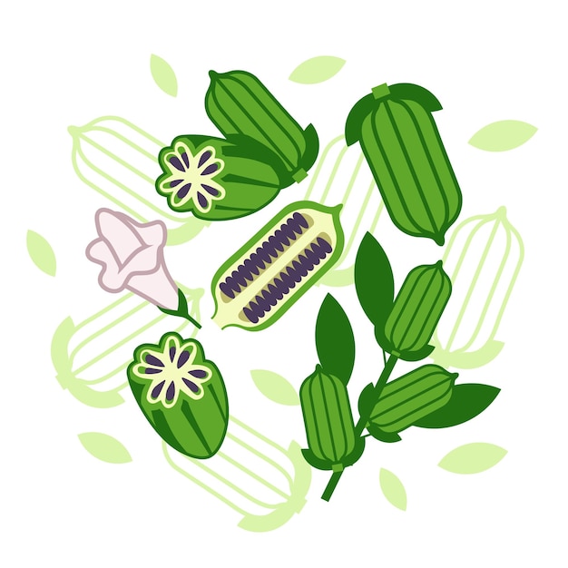 Fondo de diseño de vector abstracto de elementos de sésamo y semillas