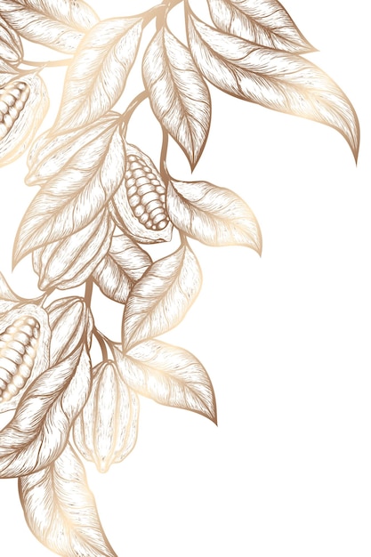 Fondo dorado con cacao dibujado a mano en estilo vintage