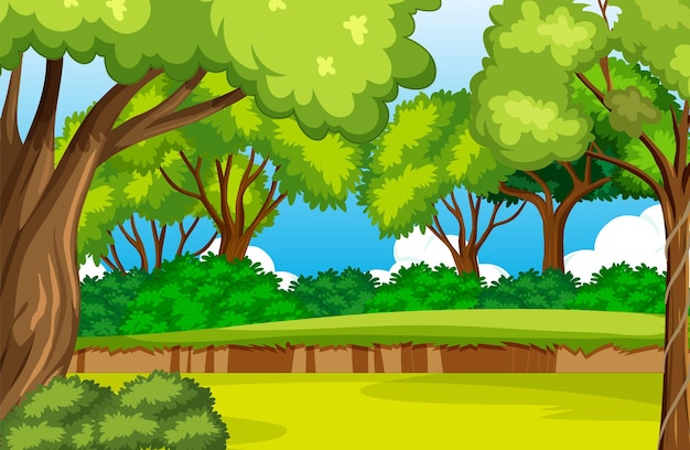 Fondo de entorno de bosque vacío