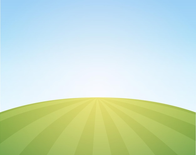 Vector fondo escénico vectorial de ilustración de campo con campo de trigo bajo un cielo azul