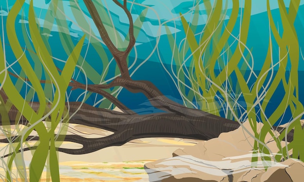 Vector el fondo de un estanque, lago o río con piedras, algas y ramas de árboles hundidas vector realista