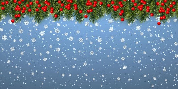 Fondo festivo de Navidad o año nuevo. Ramas de los árboles de Navidad con bayas de acebo y nieve de Navidad. Antecedentes de vacaciones. Ilustración vectorial.