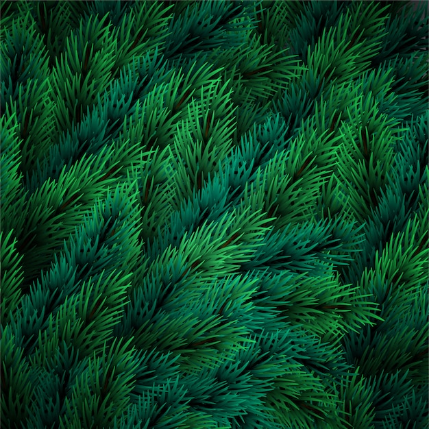 Vector fondo festivo de navidad de ramas de árboles realistas