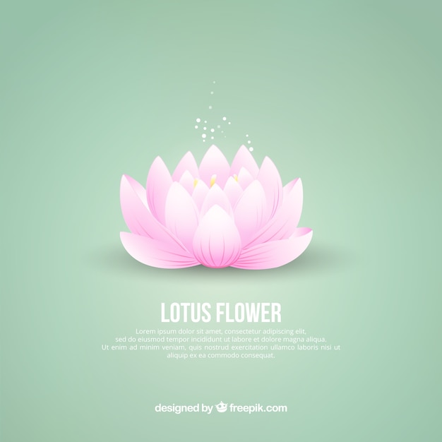 El fondo de la flor de loto