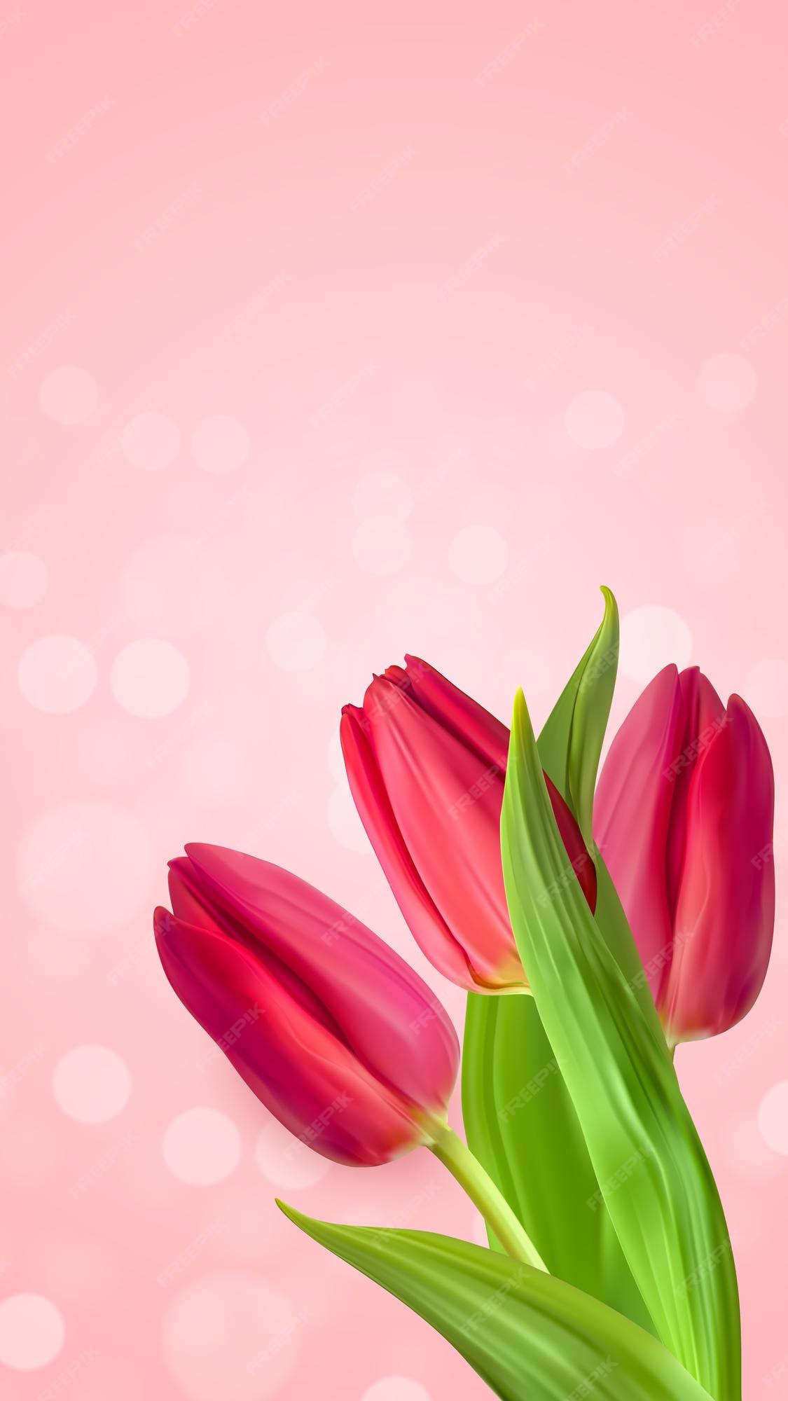 Fondo de flor de tulipanes rosa natural realista. | Vector Premium Fondo de flor de tulipanes rosa natural realista. | Vector Premium