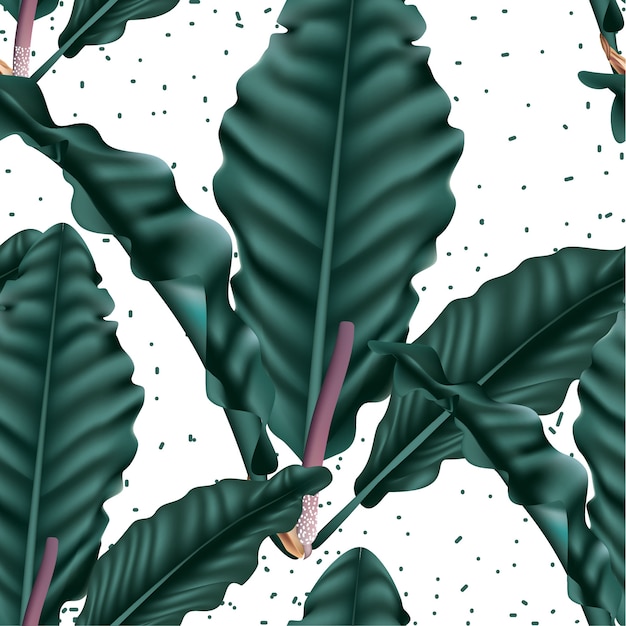 Vector fondo floral anthurium de patrones sin fisuras