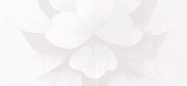 Fondo floral blanco