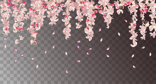 Fondo floral con flor de cerezo. Flores colgantes rosas y pétalos cayendo