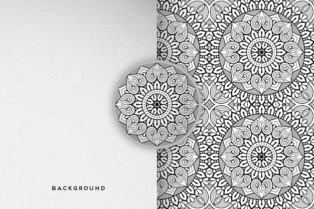 fondo floral geométrico