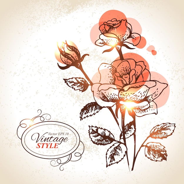 Fondo floral vintage. dibujado a mano ilustración de rosa