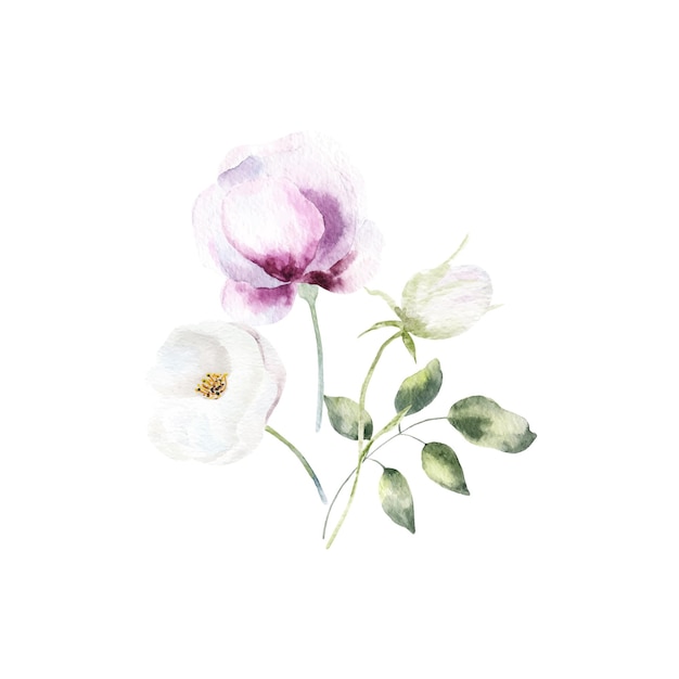 Fondo con flores de acuarela ilustración floral Composición botánica para boda o saludo