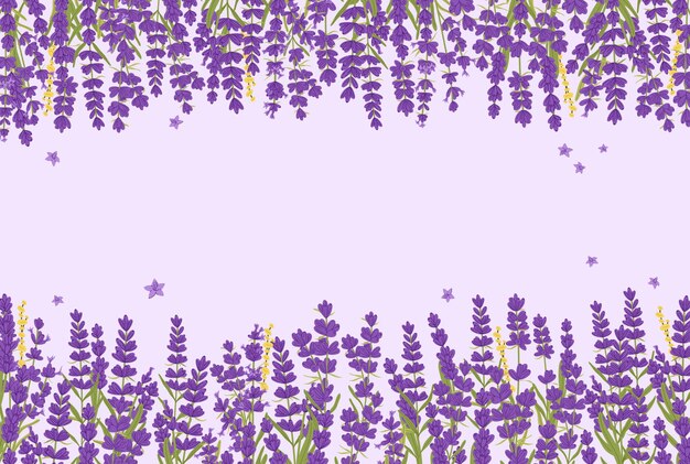 Vector fondo de flores de lavanda con bordes florales