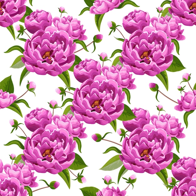 Fondo de flores de peonía rosa