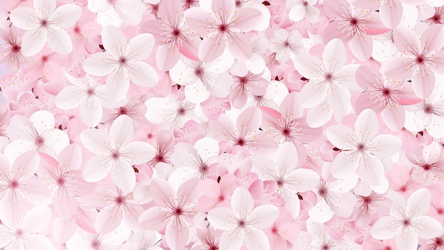 Fondo de flores de sakura rosa floreciente hermosa impresión flores de cerezo realistas ilustración vectorial