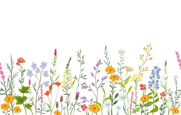 Vector fondo con flores silvestres y plantas sin costuras de derecha a izquierda