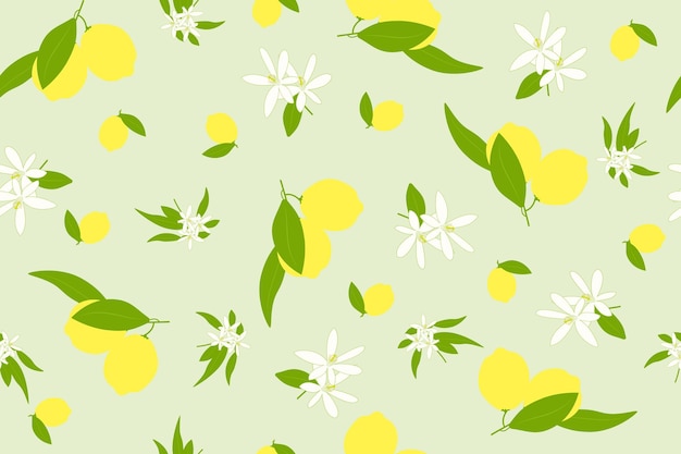 Fondo de fruta de limones en verde, frutas cítricas, hojas y flores, patrón vectorial sin costuras