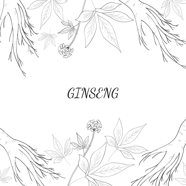 Fondo de ginseng 1