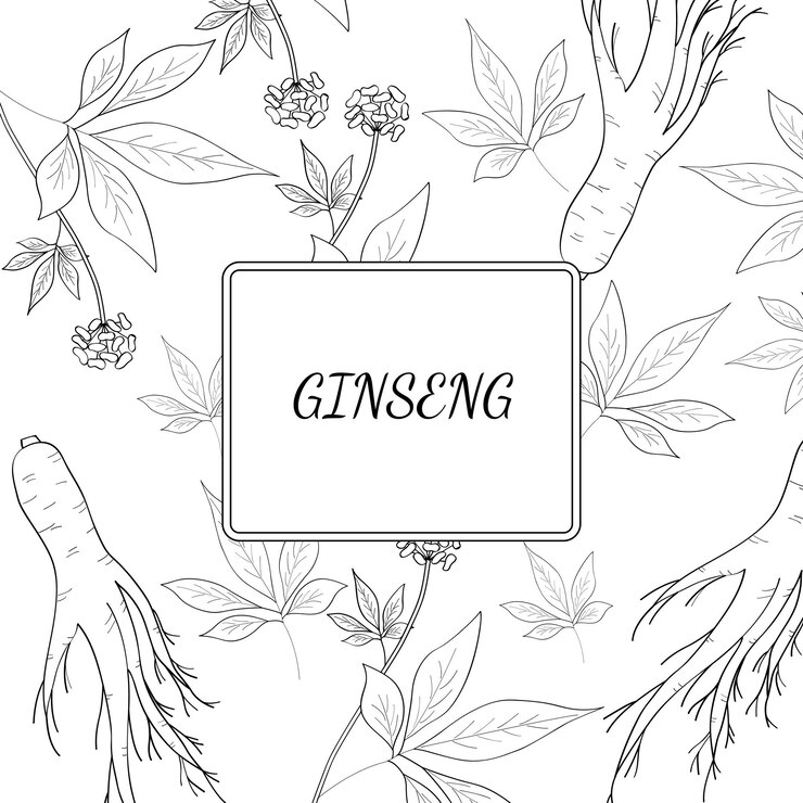 Vector fondo de ginseng 2
