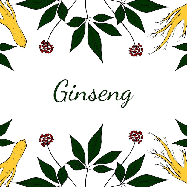 Fondo gorizontal de ginseng en color