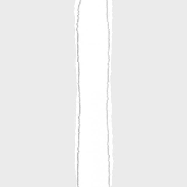 Fondo gris divisor de papel rasgado o rasgado de Vector