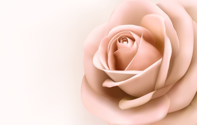 Vector fondo con hermosa rosa rosa