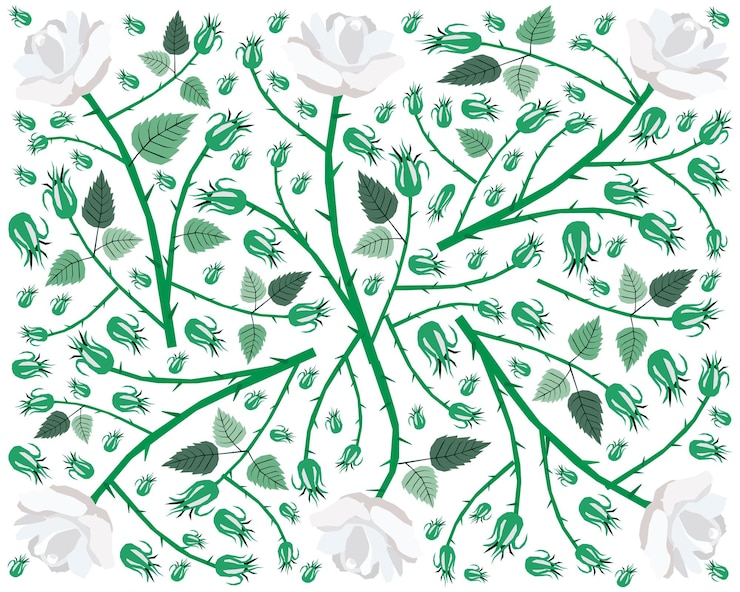 Vector fondo de hermosas rosas blancas