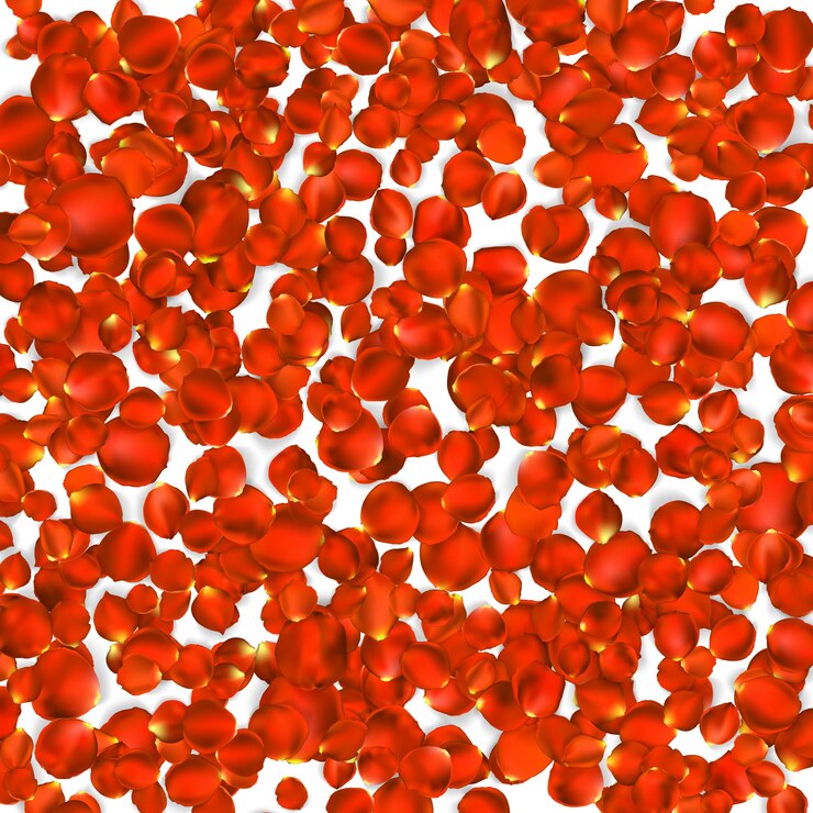 Vector fondo de hermosos pétalos de rosas rojas.