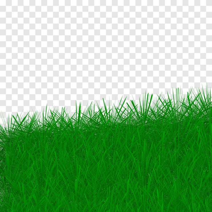 Vector un fondo de hierba verde con un borde blanco y un fondo de hierba verde.