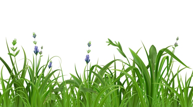 Fondo de hierba verde en estilo realista
