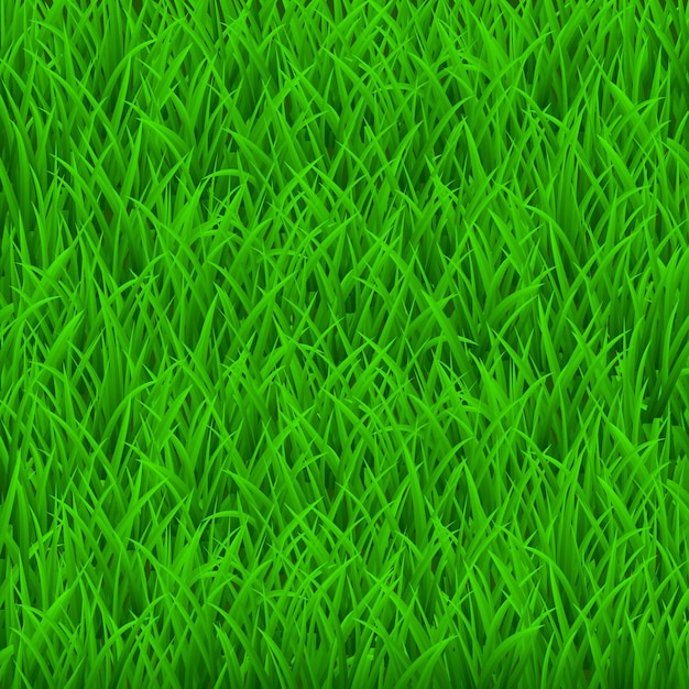 Vector fondo de hierba verde fresca. vista superior.