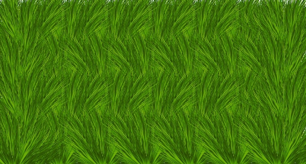 Fondo de hierba verde o hoja de árbol